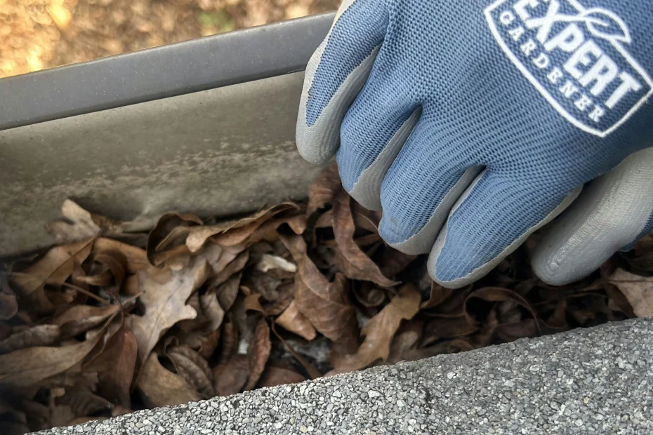 Gutter Cleaning Clintwood