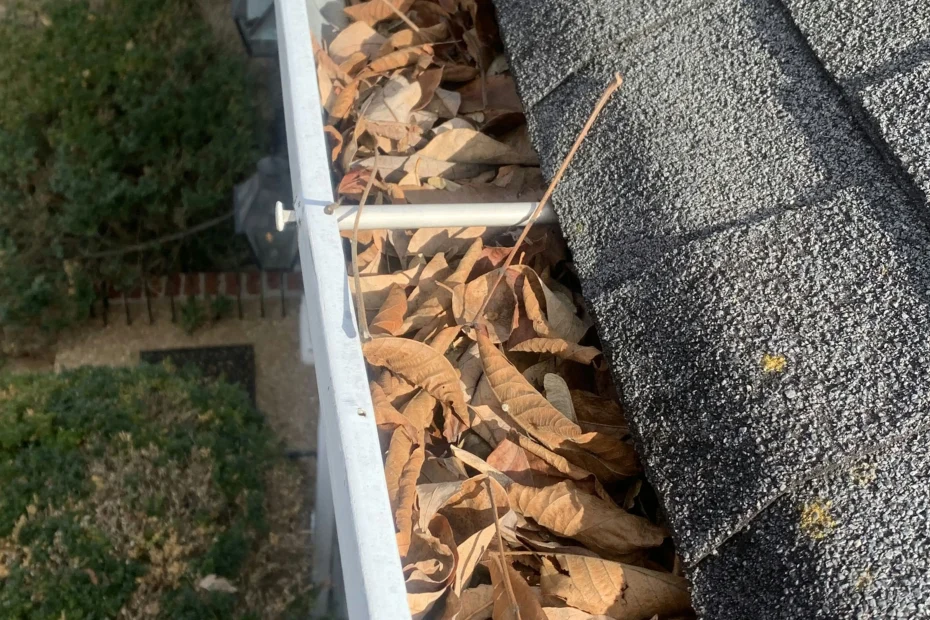 Gutter Cleaning Clintwood