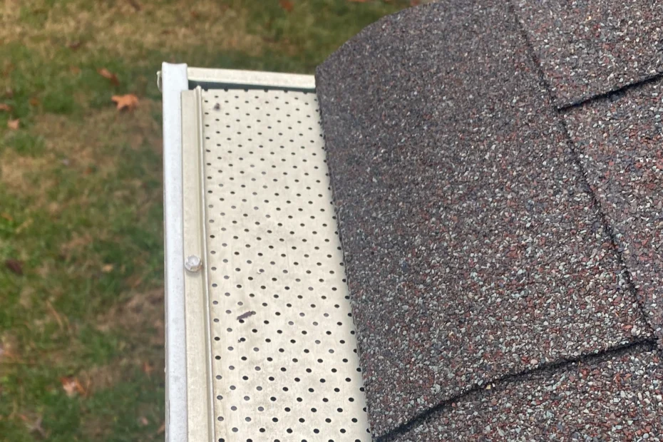 Gutter Cleaning Clintwood