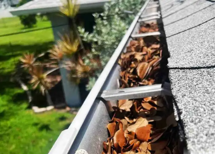 Gutter Cleaning Clintwood home page